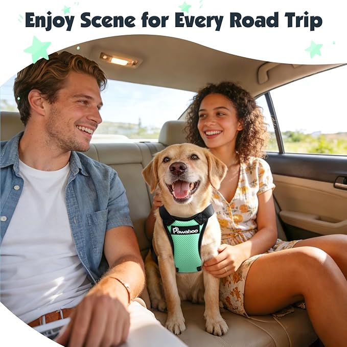 Pawaboo Dog Seat Belt Harness for Car, Dog Car Harness Seatbelt with Double Clips, Adjustable Breathable Pet Vest & Dogs Safety Tether with Elastic Bungee for Small Medium Large Pet, M, Blue + Black