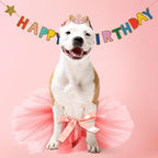 2 Pcs Dog Crown Headband Dog Tutu Dress Set Crystal Rhinestone Tiara Crown Tutu Skirt Pet Dress Costume for Puppy Birthday Party Wedding Photo Prop Costume
