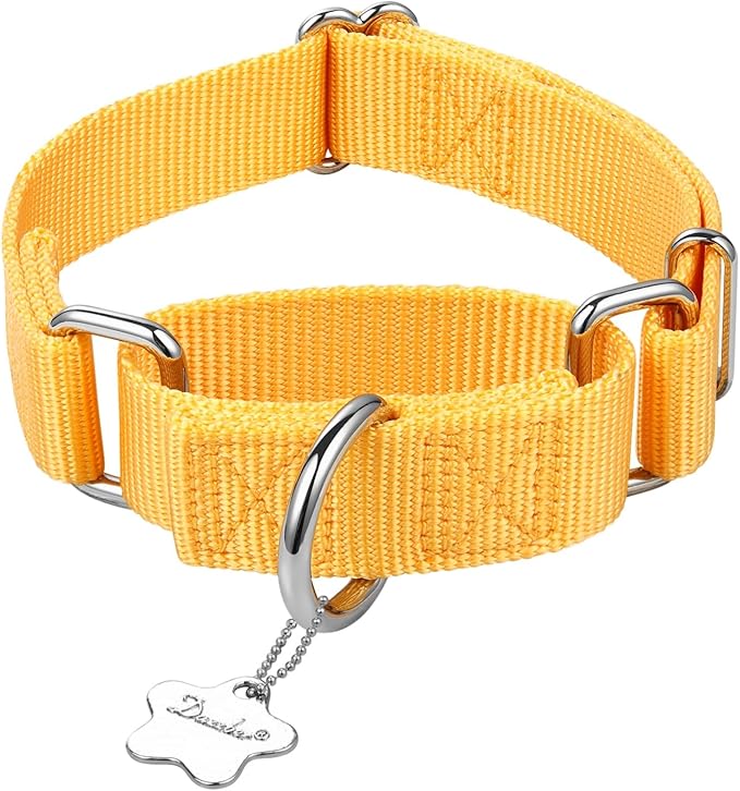 Martingale Dog Collar, No-Buckle Escape-Proof Design, Heavy-Duty Nylon and Welded D-Ring, Adjustable Training Collar for Medium Large Dogs (BrighYellow, L)