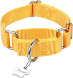 Martingale Dog Collar, No-Buckle Escape-Proof Design, Heavy-Duty Nylon and Welded D-Ring, Adjustable Training Collar for Medium Large Dogs (BrighYellow, L)