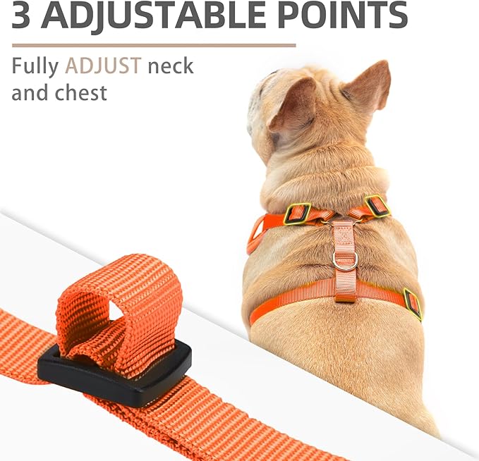 PUPTECK Halloween Small Dog Harness and Leash Set, No Pull Adjustable Puppy Cat Harness, Reflective Soft Mesh Pet Vest Small Sized, Pumpkin, M