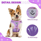 KOOLTAIL Dog Harness and Leash Set for Small Medium Dogs, Step in No Pull Soft Mesh Dog Harness Comfort Padded Pet Vest, Adjustable Reflective Easy Walking Puppy Cats Harness Training, Plaid Purple XS