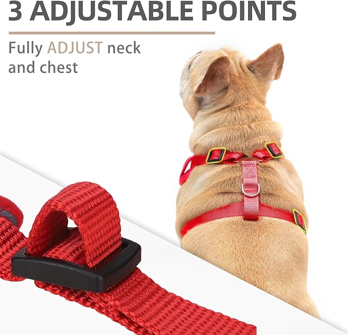 PUPTECK Small Dog Harness and Leash Set, No Pull Adjustable Puppy Cat Harness, Reflective Soft Mesh Pet Vest Small Sized, Red, S