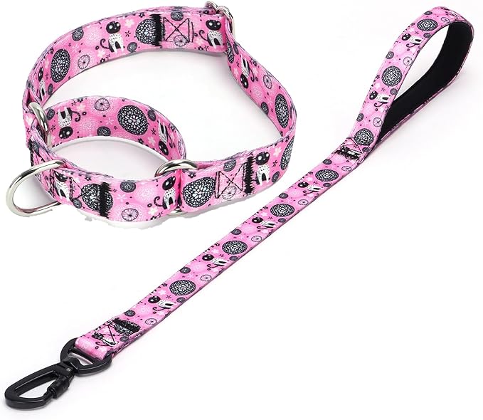 Martingale Collar and Leash Set, Premium No Slip Martingale Collar for Dogs Medium Large, Girl Dog Collars Training (NO1, L)