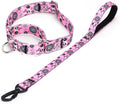 Martingale Collar and Leash Set, Premium No Slip Martingale Collar for Dogs Medium Large, Girl Dog Collars Training (NO1, M)