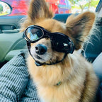 Petleso Dog Goggles Medium Breed, Dog Sunglasses for Medium Dogs Eye Protection Windproof, Black