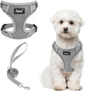 PUPTECK Small Dog Harness and Leash Set, No Pull Adjustable Puppy Cat Harness, Reflective Soft Mesh Pet Vest Small Sized, Grey, M