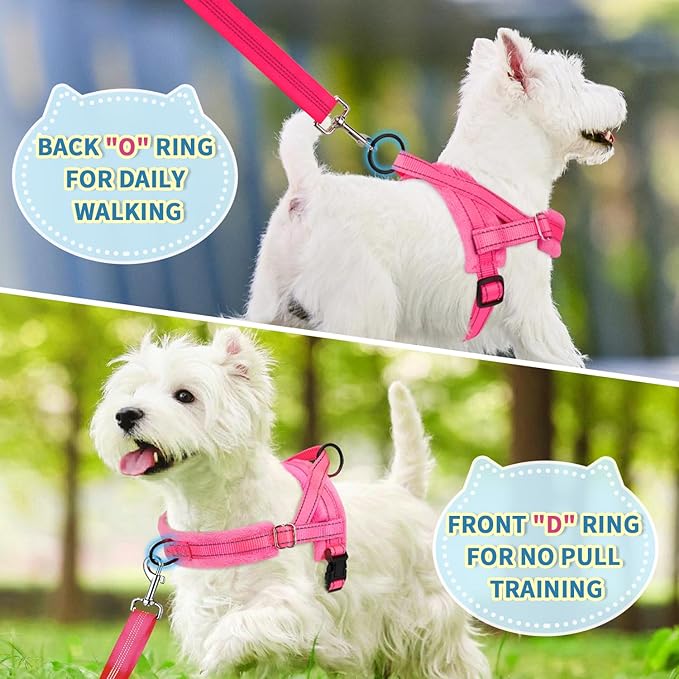 Lukovee No Pull Dog Harness and Leash Set, Soft Padded Small Dog Harness, Neck & Chest Adjustable Reflective Vest Puppy Harness with 4ft Lightweight Anti-Twist Dog Leash for Small Dogs (XS, Pink)