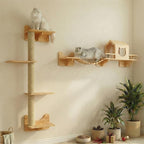 Cat Shelves for Wall – Cat Climbing Furniture Set for Large Cats with House, Bridge Ladder, 3 Scratching Posts & 5 Steps