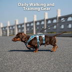 Huntboo Escape Proof Dog Harness, Escape Artist Harness, Fully Reflective Harness with Padded Handle, Breathable, Durable, Adjustable Vest for Small Dogs Walking, Training, and Running Gear (Teal,S)