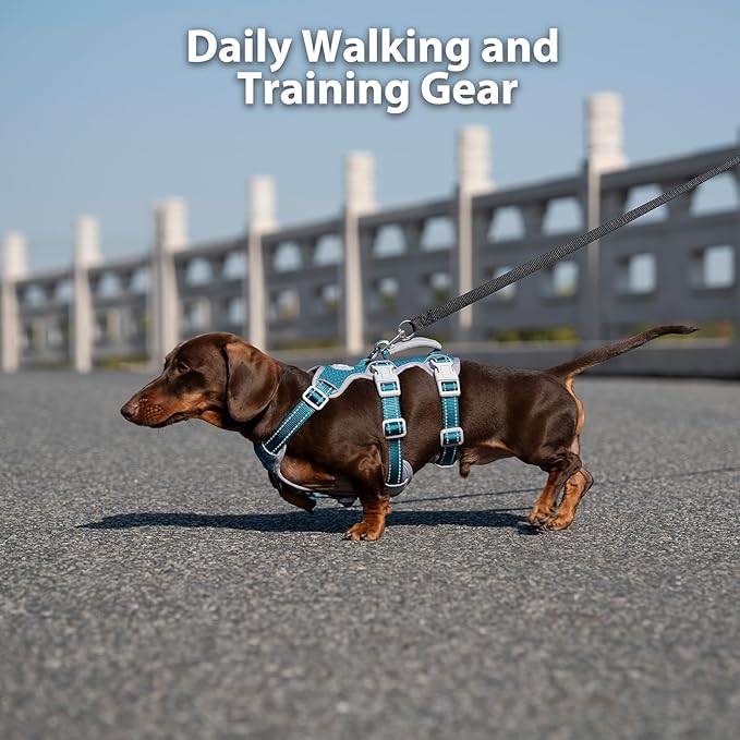 Huntboo No Escape Dog Harness, Escape Proof Harness, Fully Reflective Harness with Padded Handle, Breathable, Durable, Adjustable Vest for Medium Dogs Walking, Training, and Running Gear (Teal,M)