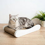 Claw Surfer Cat Bed - Cat Scratcher Bed & Lounge – Heavy Duty High-Density Cardboard, Lasts 5X Longer. Modern Curved Scratching Pad with 20mm White Frame. Non-Toxic, No Mess, White