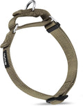 Hyhug Martingale Dog Collar Medium Green |Escape - Proof Heavy Duty Nylon Durable No Slip, Ideal for Training & Daily Walks