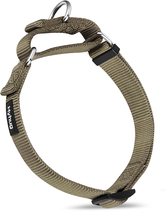 Hyhug Martingale Collar for Dogs Large Green |Escape - Proof Heavy Duty Nylon Durable No Pull, Ideal for Training & Daily Walks