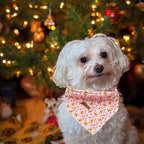 Elegant little tail Christmas Dog Bandana, Holiday Girl Boy Dog Bandanas for Small Medium Large Soft Dogs Washable Square Dog Scarf Adjustable Dog Kerchief