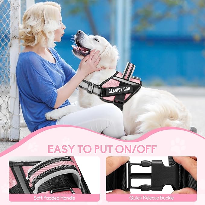 Service Dog Vest Harness and Leash Set, Animire in Training Dog Harness with 10 Dog Patches, Reflective Dog Leash with Soft Padded Handle for Small, Medium, Large, and Extra-Large Dogs