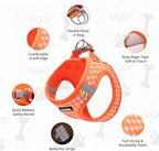 AIITLE Dog Harness and Leash Set, Reflective Adjustable Soft Mesh Vest with Plaid Print for Small Dogs – Breathable No-Pull Design for Daily Walks & Outdoor Adventures (XXS, Orange)
