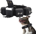 Tactical Weighted Dog Collar - Weights for Training & Exercise - Free Weights, Small, Medium, Large Dogs