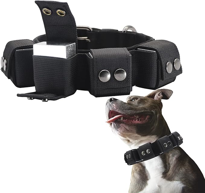 Tactical Weighted Dog Collar - Weights for Training & Exercise - Free Weights, Small, Medium, Large Dogs