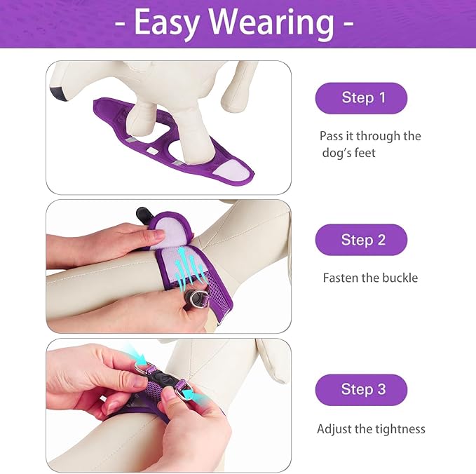 Dog Harness for Small Dogs and Leash Set, Honeycomb Grid, Reflective Lightweight Harness & Anti-Twist Pet Lead (Multi Color, Size: XS-S-M) (XS, Purple)