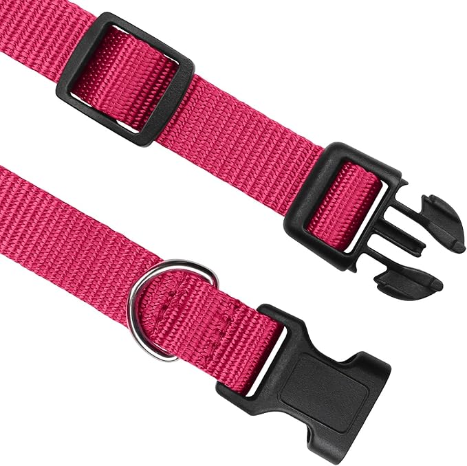 PetJoy Shock Collar Replacement Strap, Dog Replacement Collar with D-Ring, 2 Pack Adjustable Nylon Dog Collar Strap, Pet Safe & Durable for Training Collars