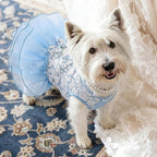 ASENKU Dog Dress, Dog Wedding Dress, Pet Lace Princess Dress with Bows for Wedding Birthday Party, Puppy Formal Apparel with Pearl Necklace for Small Dogs (Blue, Small)