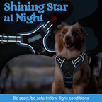 rabbitgoo Dog Harness for Large Dogs, No Pull Pet Vest with 3 Buckles, Adjustable Soft Padded Pet Harness with Easy Control Handle and Reflective Strips, Black & Sky Blue, L