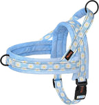 Didog No Pull Dog Harness with Soft Padded, Easy Walk Dog Harness with Quick Release Buckle, Adjustable & Reflective Pet Harness with Soft Padded for Small Medium Dogs (S:Chest 19-22", Blue)