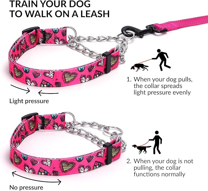 Martingale Dog Collar - Stainless Steel Chain, No Pull Training Collar with Flower Design for Large Medium Small Dogs (10, S)