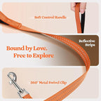 rabbitgoo Dog Harness Small Medium Sized and Leash Set, Step in Soft Light Puppy Vest, Breathable Mesh Pet Harness, Reflective for Safe Easy Walking, Orange XL