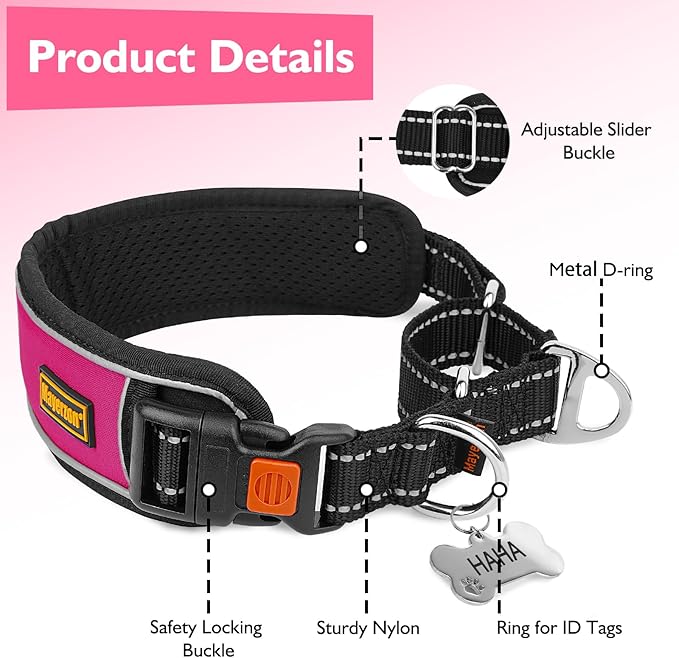 Mayerzon 2 Inch Wide Martingale Collar for Large Dogs, Patented No Pull Walking Training Dog Collar for Pitbull German Shepherd, with Buckle, Reflective Stitching, Adjustable (Hot Pink, M)