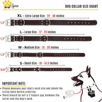 ADITYNA Heavy Duty Leather Dog Collar for Extra-Large Dogs - Soft and Strong Leather Collar for XL Breeds (Extra-Large: Fit 22" - 30" Neck, Brown)