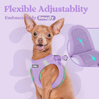 rabbitgoo Small Dog Harness, Step-in Soft Mesh Puppy Vest with Safety Buckle, Breathable Reflective Pet Harness for Extra Small Dogs, Light Purple XXS