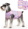 cyeollo 2pack Dog Shirt Cooling Breathable Sleeveless Summer Clothes for Dogs, Intant Cool T Shirts for Small Dogs, Purple M