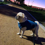 Gooby - Stretch Fleece Vest, Pullover Fleece Vest Jacket Sweater for Dogs, Steel Blue, Medium