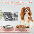 BNOSDM Double Dog Food Bowls Stainless Steel Dog Food and Water Bowls with Non-Spill Plastic Mat Pet Cat Feeder Bowl Set for Puppy Cats Kitten Small Medium Dogs Pink