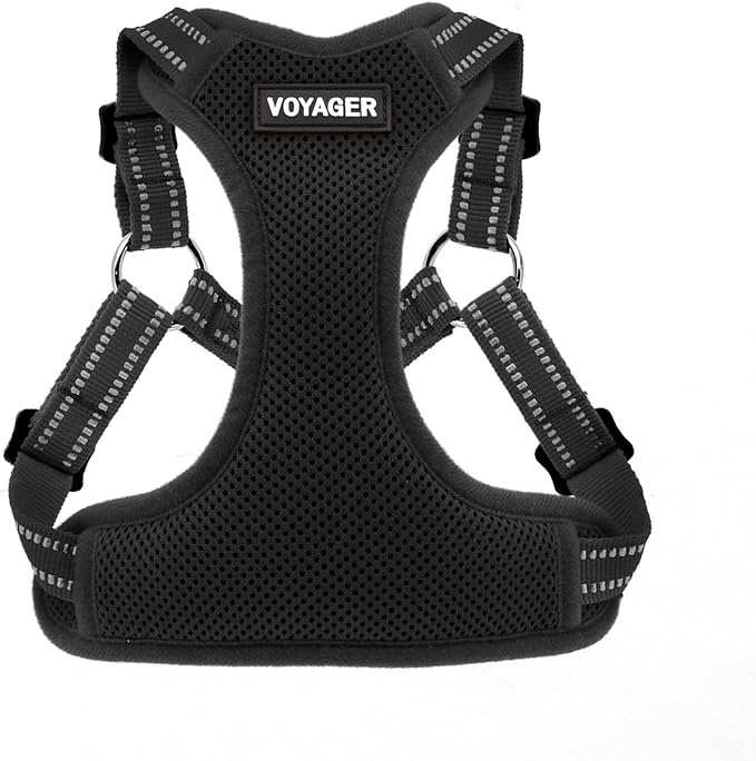 Best Pet Supplies Voyager Adjustable Step-In Flex Breathable Mesh Dog Harness for Small Medium Large Dogs (Black), XL