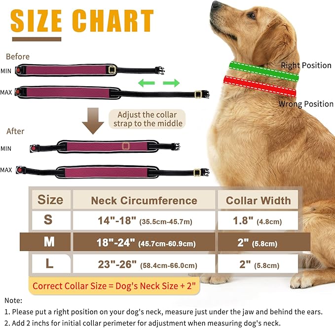 Martingale Collar for Dogs, Reflective No Pull Dog Collar for Medium Large Dogs, Heavy Duty Nylon Adjustable Anti Pull Slip Collar for Walking Training with Buckle 1.8 Inch Wide S Wine Red