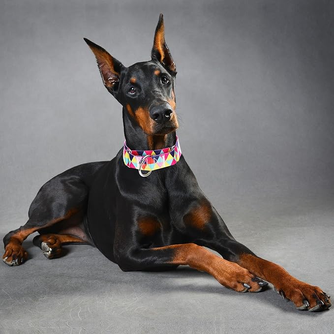 Wide Martingale Dog Collar - Heavy-Duty Escape-Proof Training Collar for Medium, Large & XL Dogs | Big & Thick No Pull Adjustable Design (Colored Triangle M)
