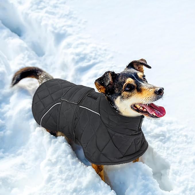 Kuoser Dog Coat Thermal Fleece Lined Dog Jacket, Adjustable Hook & Loop Dogs Coats for Medium Dogs Windproof Reflective Puppy Snow Jackets Pet Cold Weather Clothes with Harness Hole, Grey, M