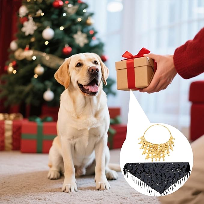 Dog Belly Dancer Costume with Necklace and Waist Chain - Sequin Party Outfit for Medium to Large Dogs, Labrador, Golden Retriever, German Shepherd, Husky