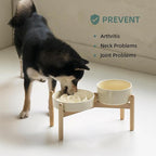 Ceramic 1.2 Cup Raised Slow Feeder Dog Bowl Set, Elevated 6.1inch Bowl and 7.3inch Puzzle Slow Food Dish with Wooden Stand for Medium and Small Dog, Anti-Gulping (2 xLight Yellow+ Stand)