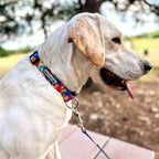 Lucky Love Dog - Adjustable Dog Collar with Easy Click Buckle for Small Ones, Durable, & Comfortable for Male & Female Dogs, Pet Collar for Puppies & Adult Dogs - Hana, XS
