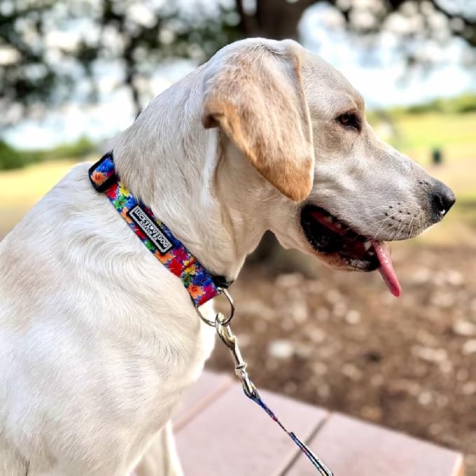 Lucky Love Dog - Easy Click Buckle Dog Collar with Leash Set Combo, Durable & Comfortable for Male & Female Dogs, Pet Collar for Large Dogs, Secure Fit - Hana Combo, Large