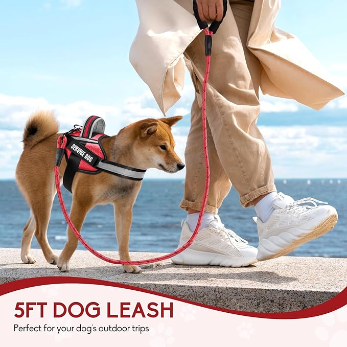 Service Dog Vest Harness and Leash Set, Animire in Training Dog Harness with 10 Dog Patches, Reflective Dog Leash with Soft Padded Handle for Small, Medium, Large, and Extra-Large Dogs (RED,M)