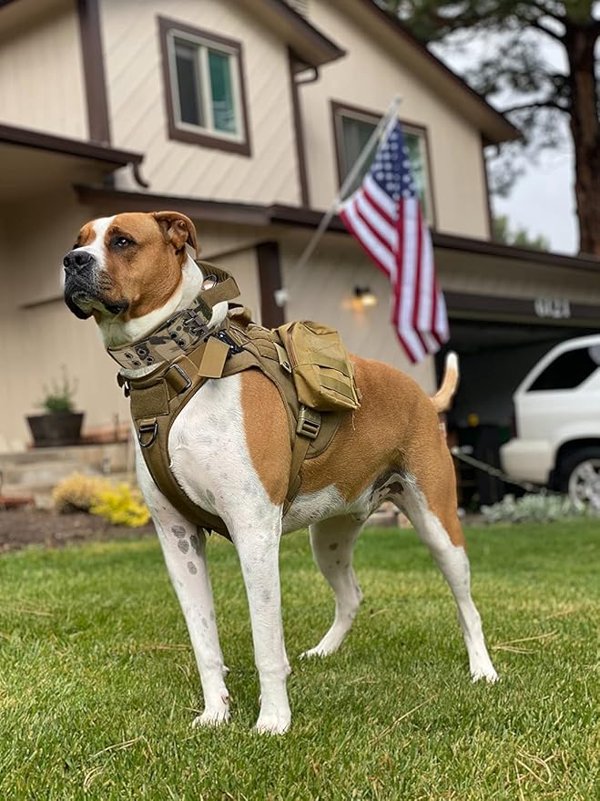 Tactical Dog Collar with Handle - Military Adjustable Dog Training Collar Soft Nylon and Heavy Duty Metal Buckle for Medium Large Dogs - with Patch (Camo with Patch, X-Large)