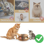 Magic Organ Cat Scratcher Board with 2 Bell Ball, Cat Ball Adventure The Ultimate Interactive Mental Physical Exercise for Indoor Cats Toy