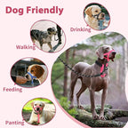 BARKLESS Sturdy No Pull Head Collar for Medium Large Dogs, Gentle Reflective Head Halter with Safety Link, Adjustable Nylon Dog Training Muzzle Leash for Walking Control (Hot Pink, M)