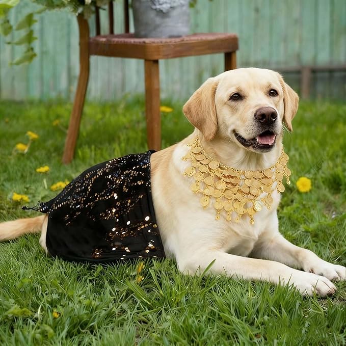 Dog Belly Dancer Costume with Necklace and Waist Chain - Sequin Party Outfit for Medium to Large Dogs, Labrador, Golden Retriever, German Shepherd, Husky