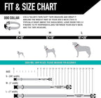 Wolfgang Heavy Duty, Adjustable Dog Collar with Quick Release Nylon Buckle for Walking & Training, LazyDaisy Print, Small